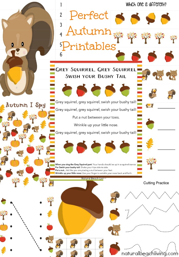The Best Squirrel Activities for preschoolers and kindergarten