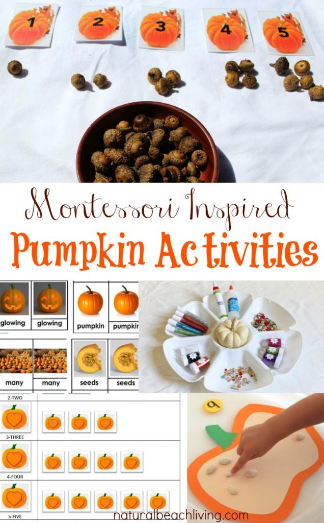 Fall Montessori Pumpkin Activities - Natural Beach Living