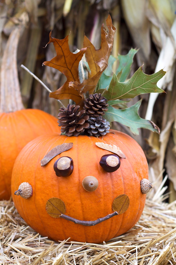 14 Epic No Carve Pumpkins You'll Want to Show Off, Adorable DIY Pumpkins with No Mess, Fall Decorations, Halloween Pumpkin Painting Ideas and Inspiration, with Creative Pumpkin Decorating ideas. #pumpkin #pumpkindecorating #halloween 