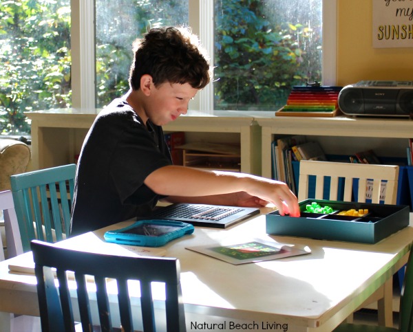 Build Your Own Video Games with Bloxels, We love Timberdoodle Curriculum, Brain Games for Kids, Great Hands on Homeschooling, Perfect Gift Idea, STEM