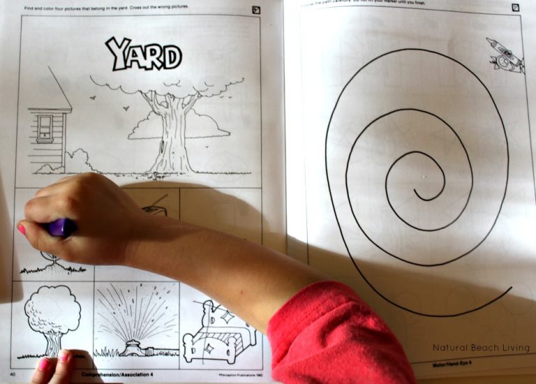 Developing The Early Learner is the Best For Pre Readers - Natural ...