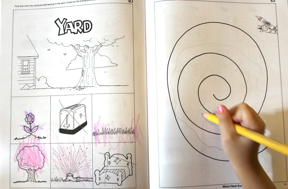 Developing The Early Learner is the Best Series for Pre Readers, Homeschool Curriculum for Preschool and Kindergarten, Boosts IQ, visual, auditory, motor & comprehension skills
