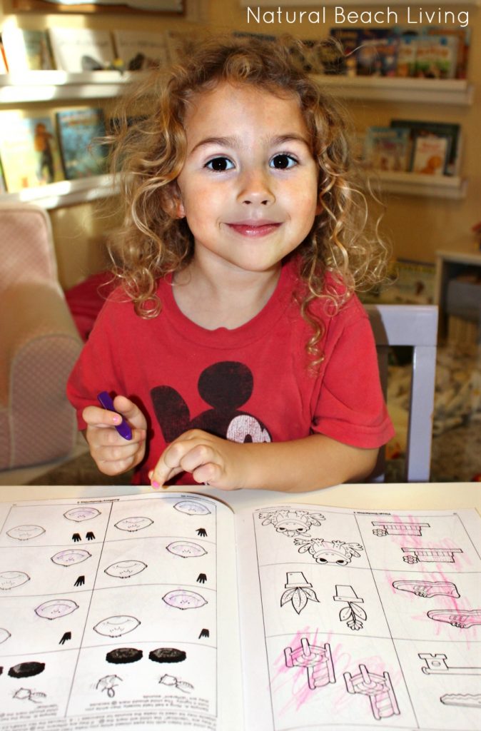 Developing The Early Learner is the Best Series for Pre Readers, Homeschool Curriculum for Preschool and Kindergarten, Boosts IQ, visual, auditory, motor & comprehension skills