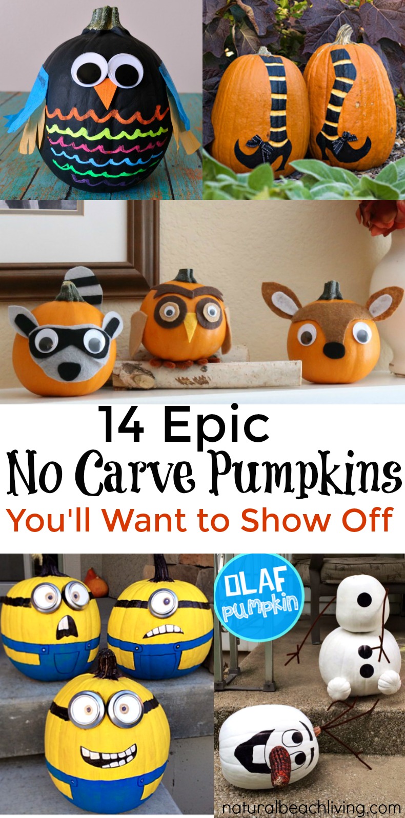 These 30 Painted Pumpkin Ideas are perfect for kids and adults. Easy No Carve Pumpkins for Halloween Decorations and arts and craft activities. Your children will love getting creative with these DIY projects this fall! 