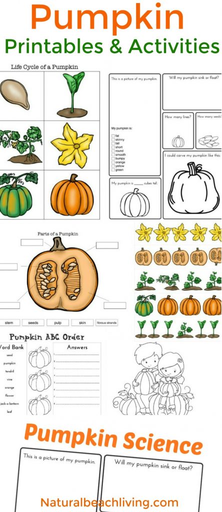 Pumpkin Activities, Pumpkin Life cycle, Free Printables, Fall Science, FIAR, Pumpkin Printables, Coloring Pages, Pumpkin activities for kids, STEM