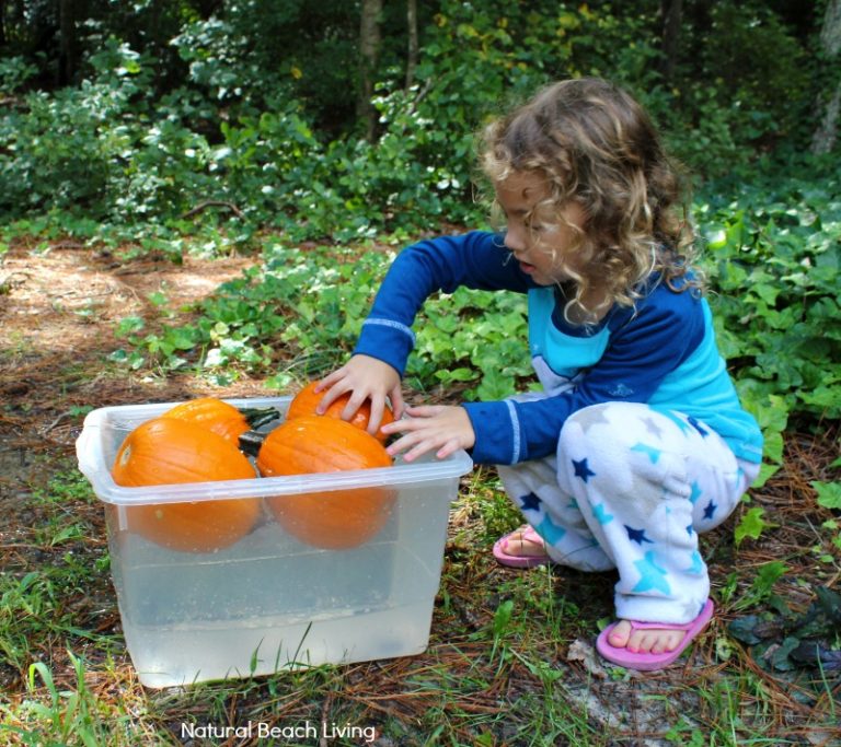 Pumpkin Activities for Kids - Pumpkin Lesson Plans (STEM) - Natural ...