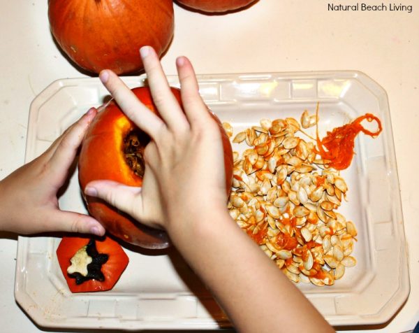 Pumpkin Activities for Kids - Pumpkin Lesson Plans (STEM) - Natural ...