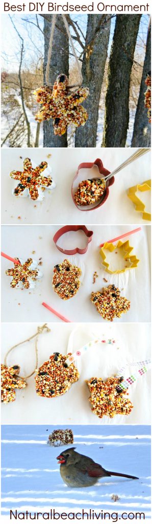 How to Make the Best Birdseed Ornaments, DIY Birdseed ornament, Homemade bird feeder #birds #birdseedornaments 