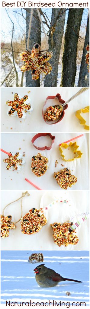 How to Make the Best Birdseed Ornaments, DIY Birdseed ornament, Homemade bird feeder #birds #birdseedornaments