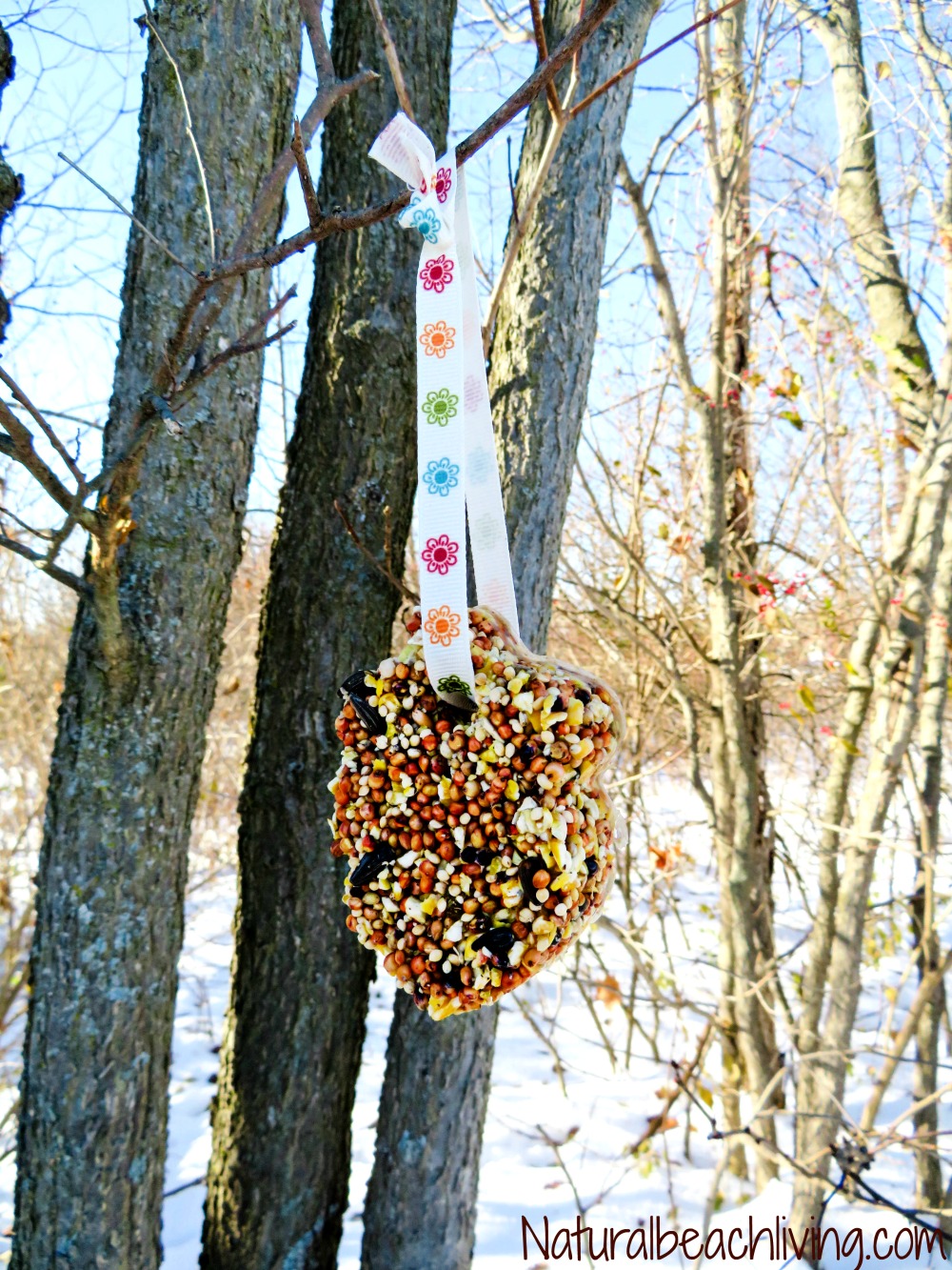 See How Easy it is to Make The Best Birdseed Ornaments, Homemade Birdseed treats make a great activity for kids, Make these DIY Bird feeders to feed your backyard birds and include your kids in this fun nature craft idea, Birdseed Ornaments Recipe