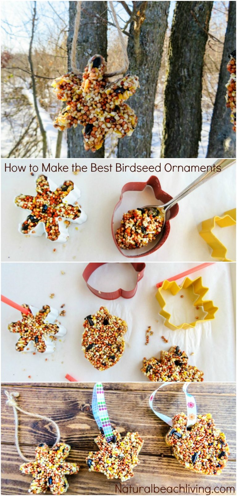How to Make The Best Birdseed Ornaments