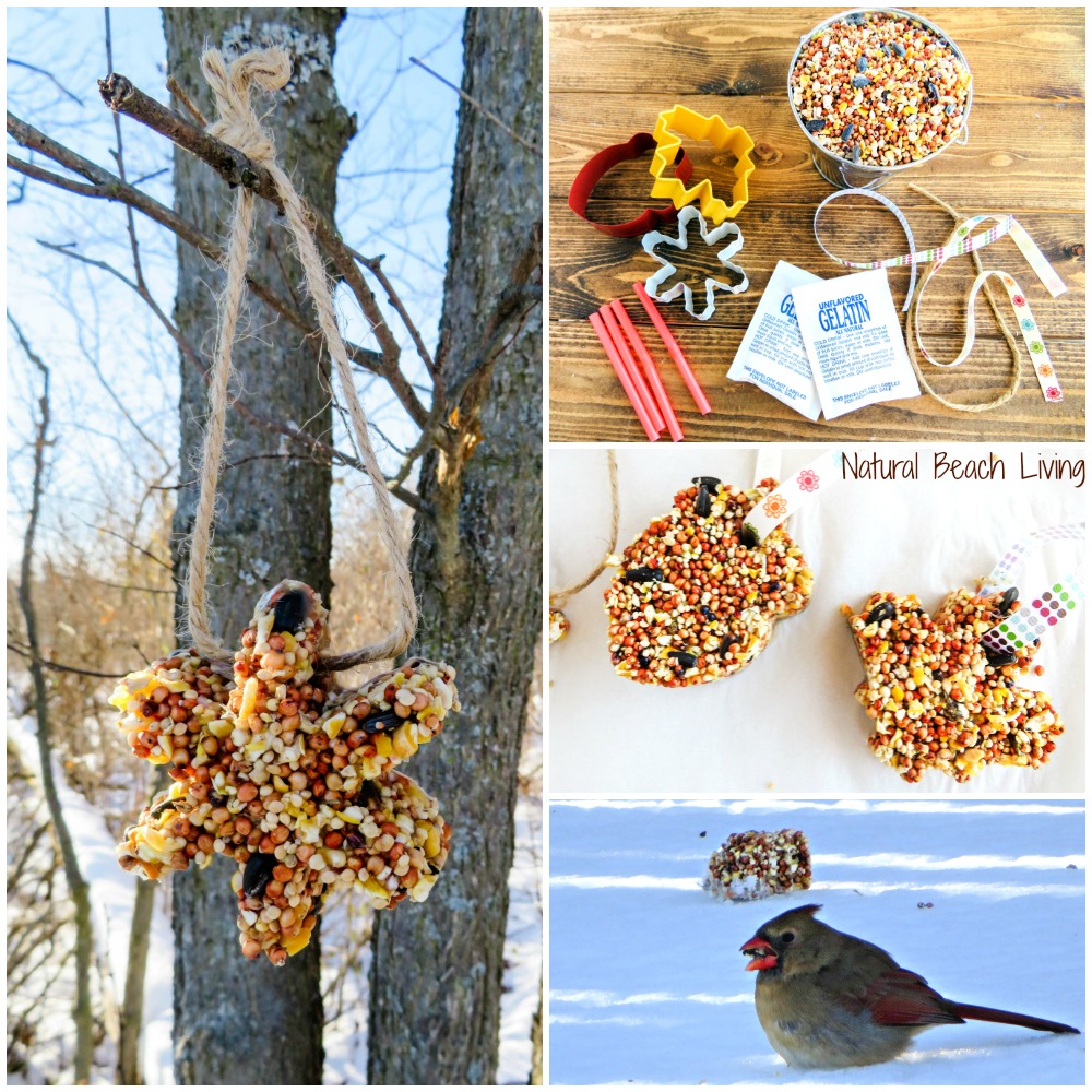 See How Easy it is to Make The Best Birdseed Ornaments, Homemade Birdseed treats make a great activity for kids, Make these DIY Bird feeders to feed your backyard birds and include your kids in this fun nature craft idea, Birdseed Ornaments Recipe
