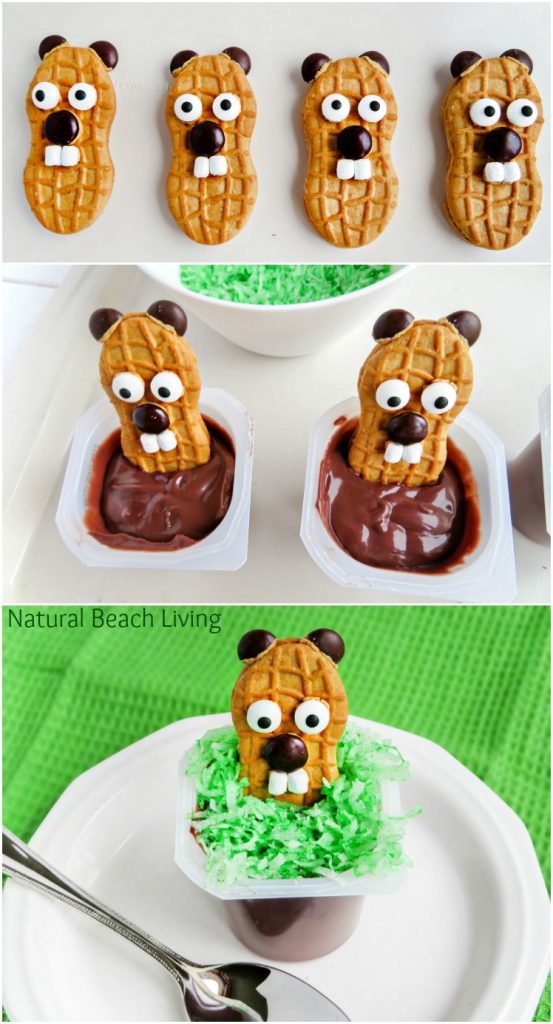 The Cutest Groundhog Day Snack Idea for Kids, Your kids will love these pudding cups filled with a yummy groundhog cookie. Great Snack Idea