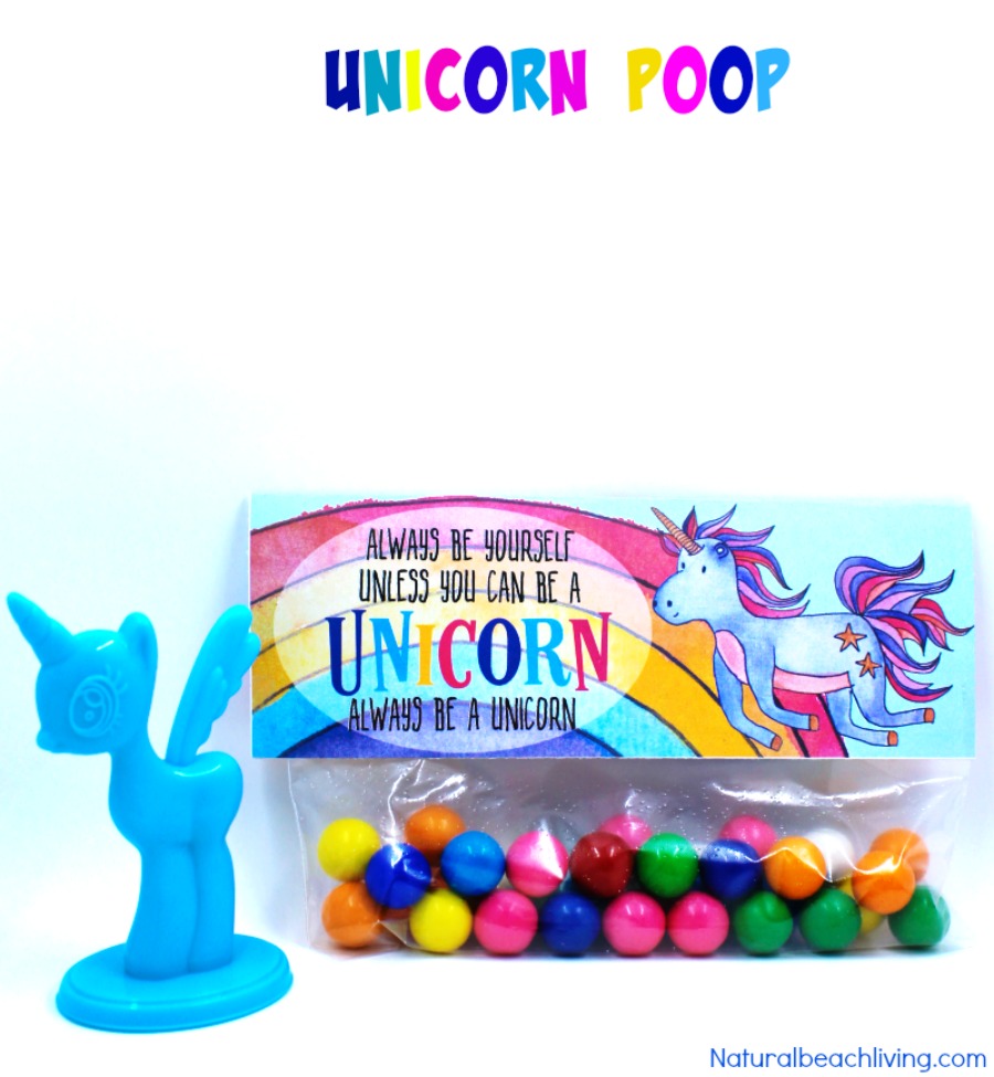 Goody Bags Unicorn Theme Pack Of 10