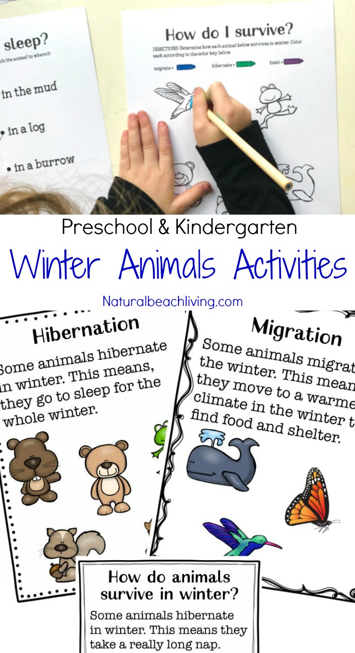 Winter Animals for Preschool Activities