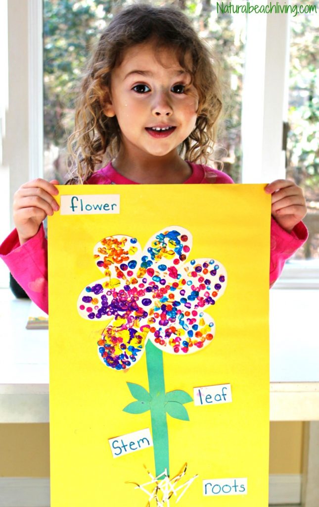 This is always a favorite Spring Science Experiment. Flower Science Activities for Preschool and Kindergarten are fun Color changing flowers, Flower Science for kids delights your senses and brings lots of observation. Add this to your spring lesson plans.