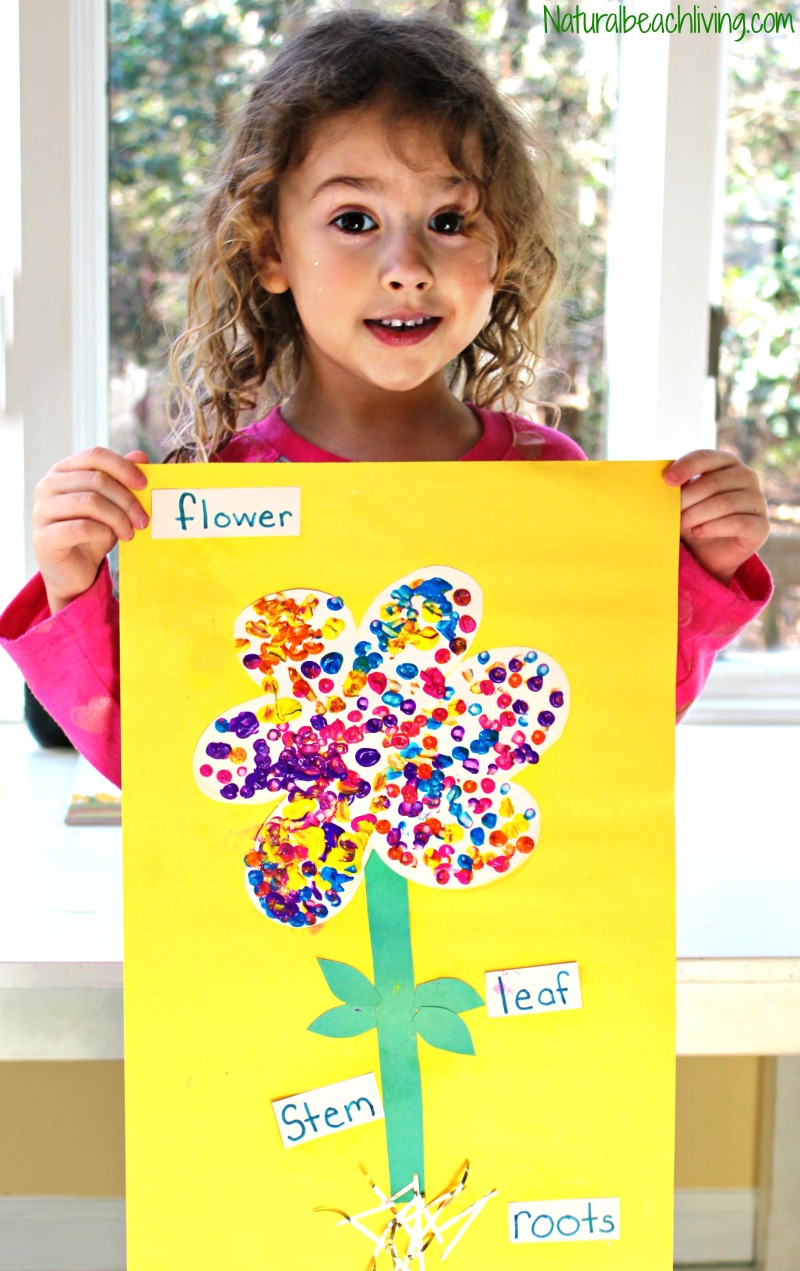 This is a favorite Spring Science Experiment. Flower Science Activities for Preschool and Kindergarten with fun Color changing flowers; Flower Science for kids delights your senses and brings lots of hands on learning. Add this to your spring lesson plans.