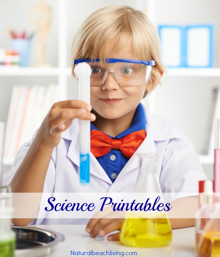 Science printables, Welcome Natural Beach Living Subscribers, 150+ Free Printables and Hands on Activities on Natural Living, Homeschooling, Lesson Plans, Party Ideas, Craft Templates, Free Daily Visual Schedules and so much more
