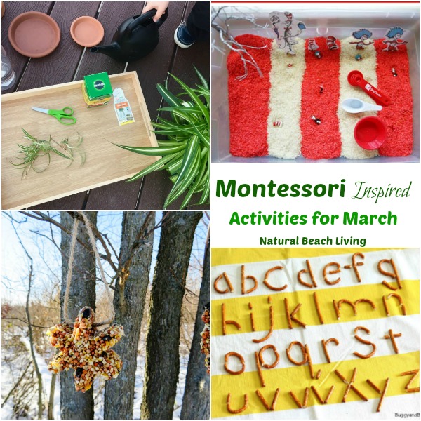 10+ March Montessori Activities for Preschoolers and Kindergarten, Flower activities, Montessori Monthly themes, Bird Activities, Hands on activities 