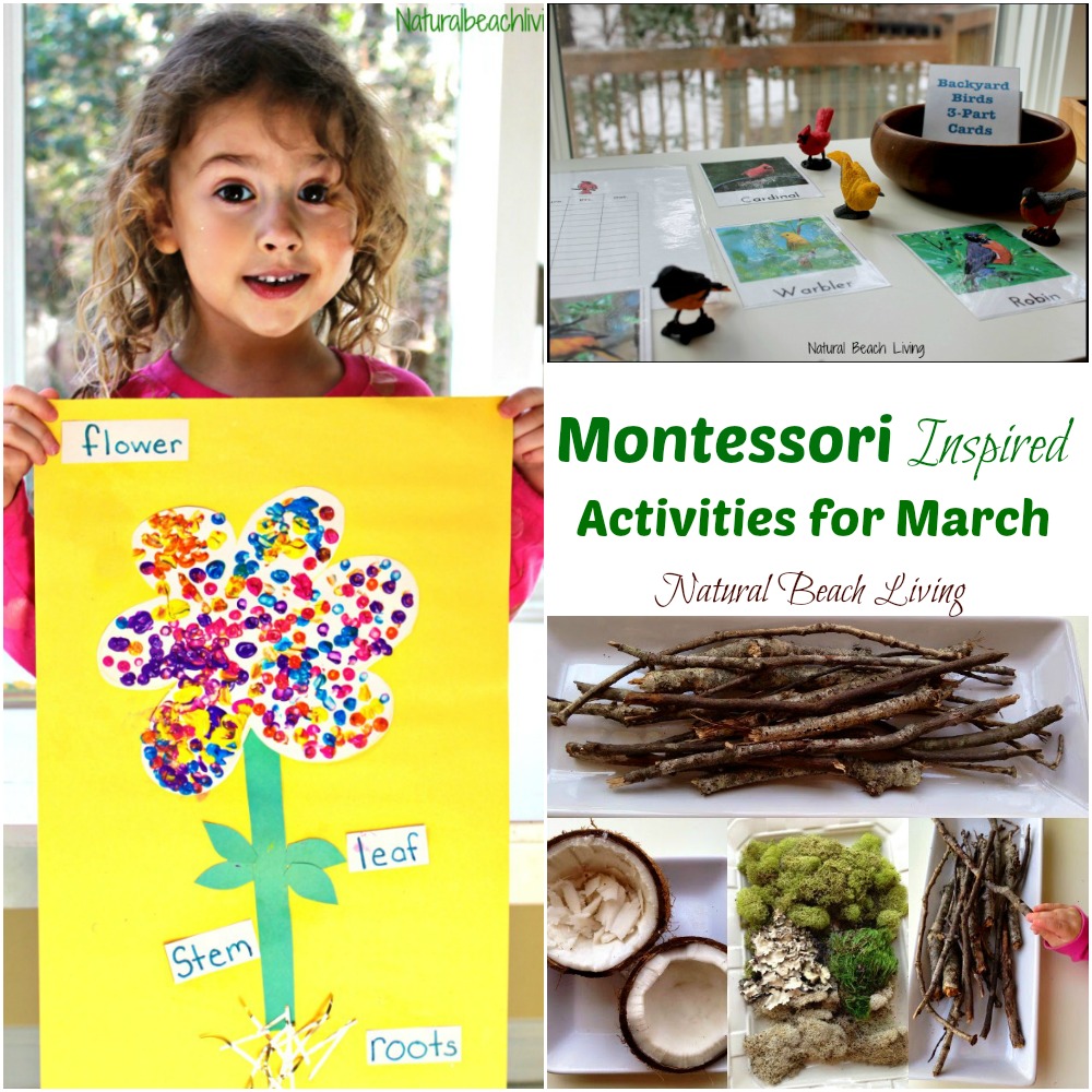 10+ March Montessori Activities for Preschoolers and Kindergarten, Flower activities, Montessori Monthly themes, Bird Activities, Hands on activities 