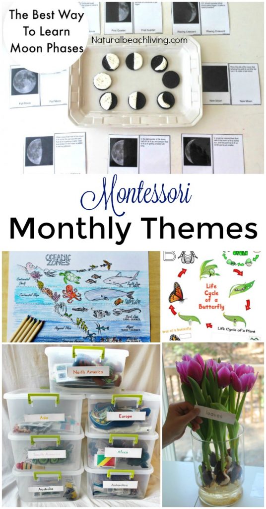 12 More Months of Montessori Monthly Themes, Montessori holiday activities, Seasons, Montessori tray ideas, Montessori Science, Preschool themes and more 