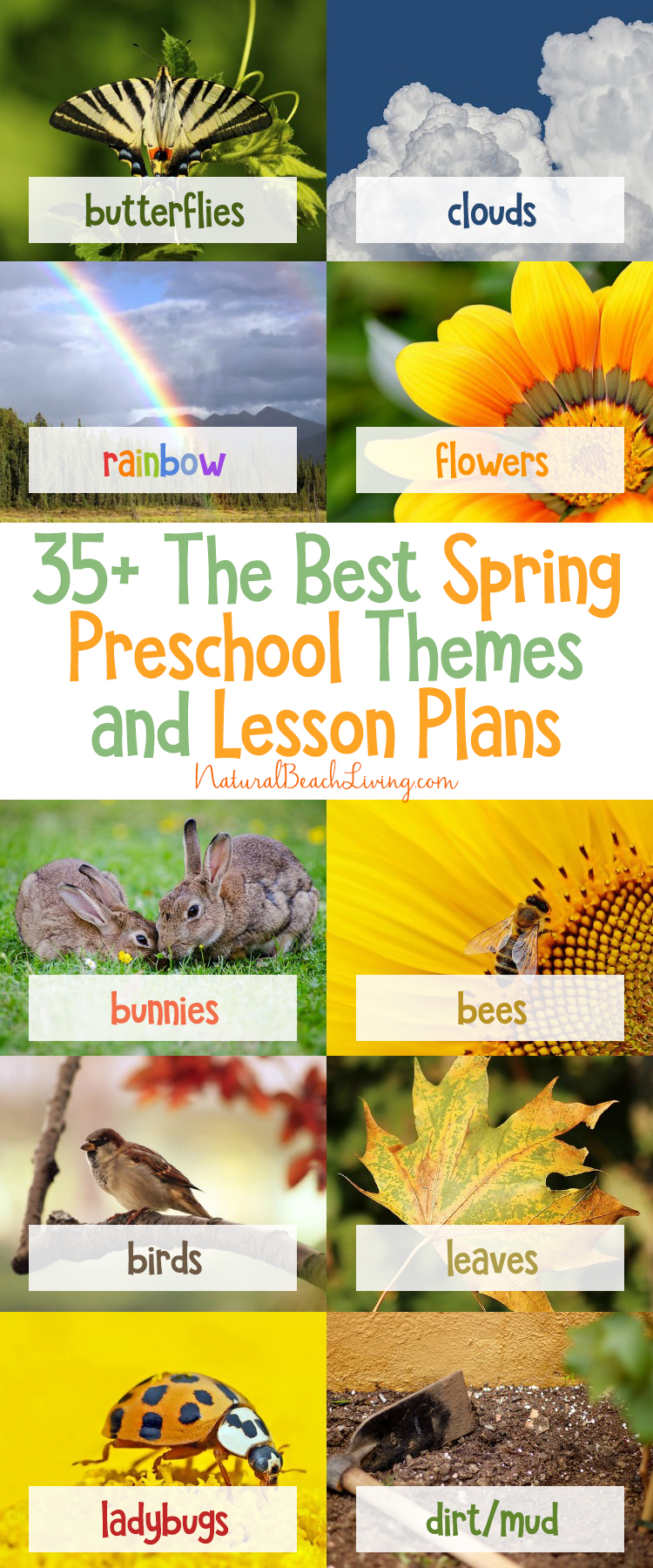 The Best Spring Preschool Themes and Lesson Plans, Free Printable, Life cycles, Flower activities, Farm, Preschool books, Pond Theme, Animal habitats