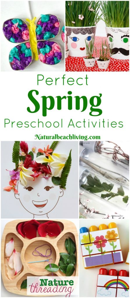 45+ Spring Preschool Activities That Make Everyone Happy, Life Cycle preschool activities, flower activities, sensory bins, preschool crafts, nature & more