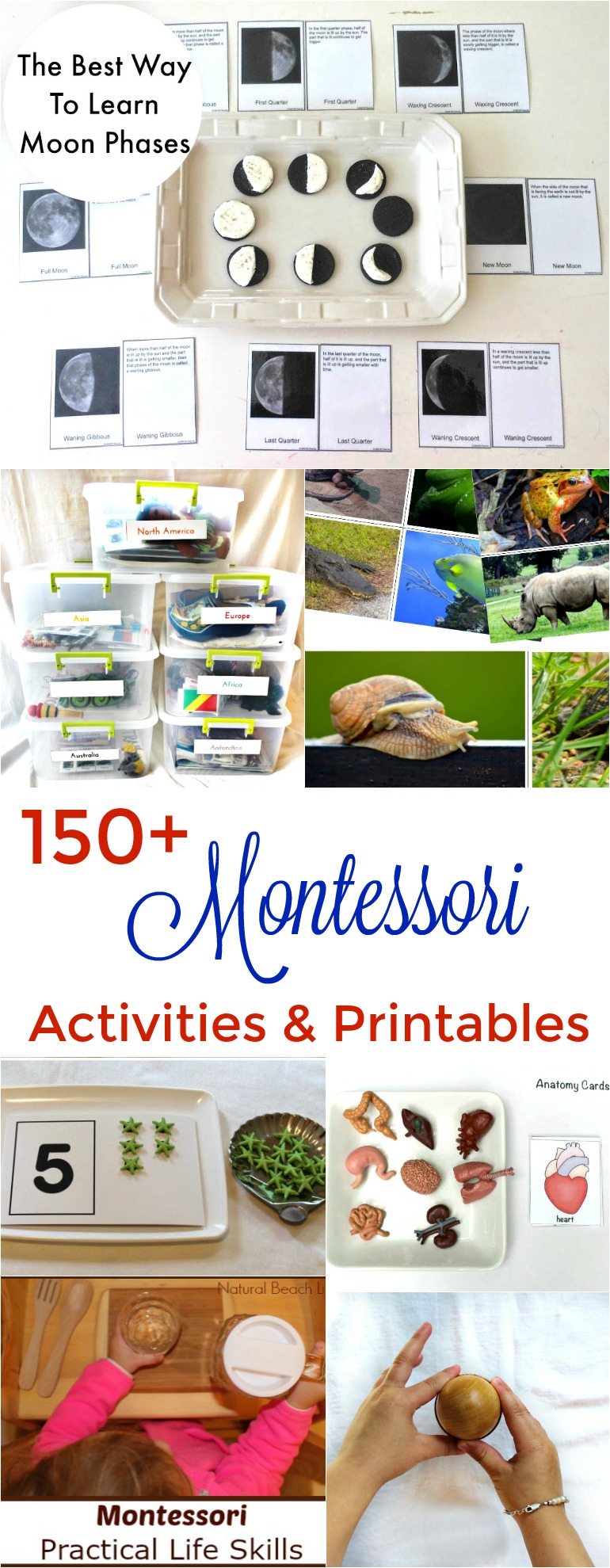 150+ The Best Montessori Activities and Hundreds of Montessori activities for Preschool and Kindergarten. You'll find Free Montessori Printables, Montessori Books, Montessori Toys, Montessori Practical Life, Montessori Math, Montessori Science and Montessori Sensory Activities. Everything for Montessori Baby through elementary age children. #Montessori #montessoriactivities