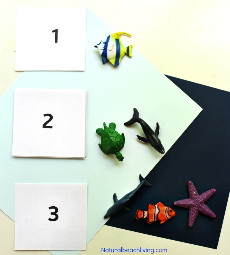 Montessori Theme Ocean Preschool Activities & Printables, The Best way to learn Ocean Zones, Ocean Animals, 3-part cards, Montessori Math, Under the Sea 