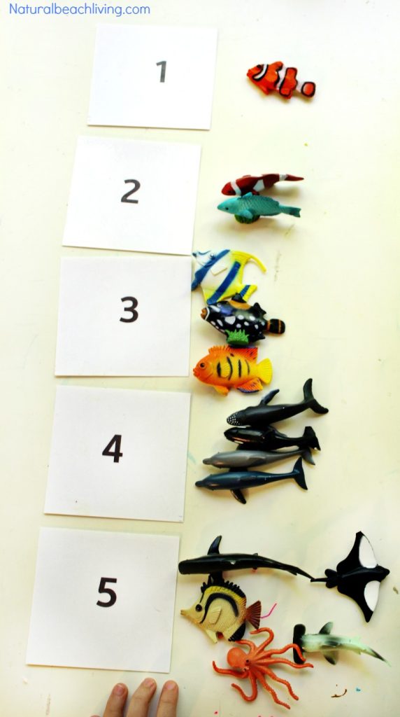 Montessori Theme Ocean Preschool Activities & Printables, The Best way to learn Ocean Zones, Ocean Animals, 3-part cards, Montessori Math, Under the Sea 