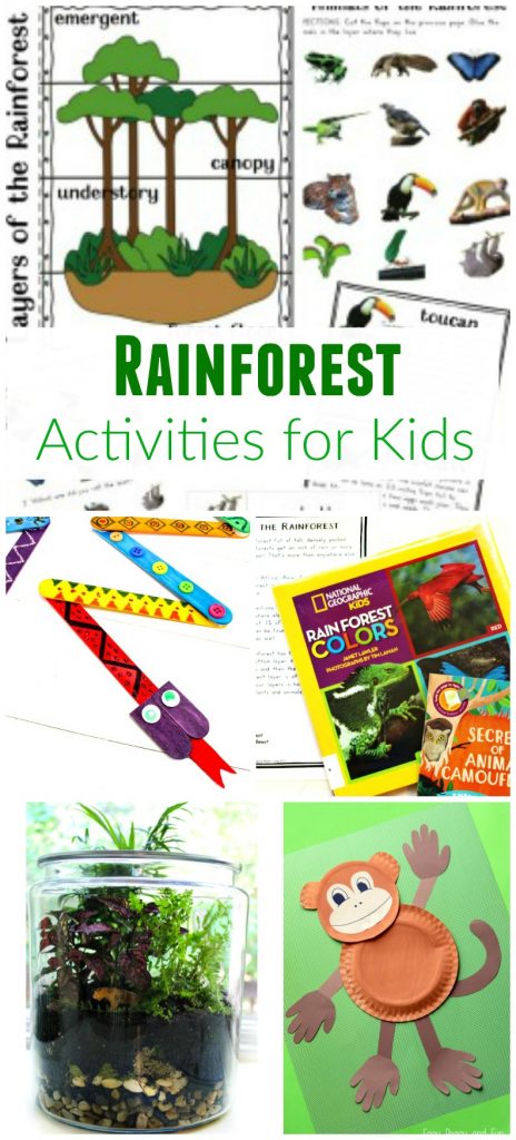 Rainforest Theme, Rainforest activities