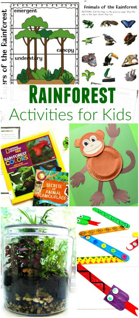 The Best Rainforest Activities for Kids. Rainforest Lesson Plans printables are perfect for preschool and Kindergarten to learn about rainforest animals and the habitats of the rainforest. Your kids will learn while engaging with their imagination and creativity as well. These Rainforest Lesson Plans are perfect for hands-on learning. Rainforest Printables are so much fun