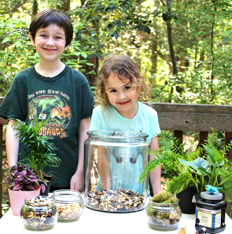 How to Make The Best Rainforest Terrarium with Kids, Learn about the Rainforest Animal Habitat, ecosystem, Water Cycle, Amazing Hands-on activity for kids