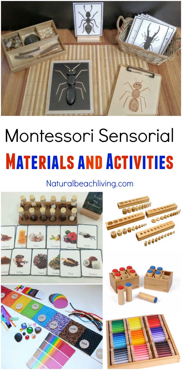 Montessori Sensorial Materials Every Child Will Love, Perfect Montessori Activities and Montessori Materials for Preschool, Sensory, Smelling bottles, Color