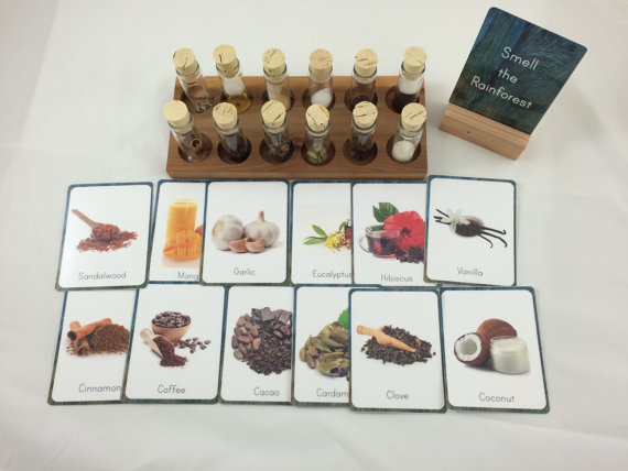 Montessori Sensorial Materials Every Child Will Love, Perfect Montessori Activities and Montessori Materials for Preschool, Sensory, Smelling bottles, Color