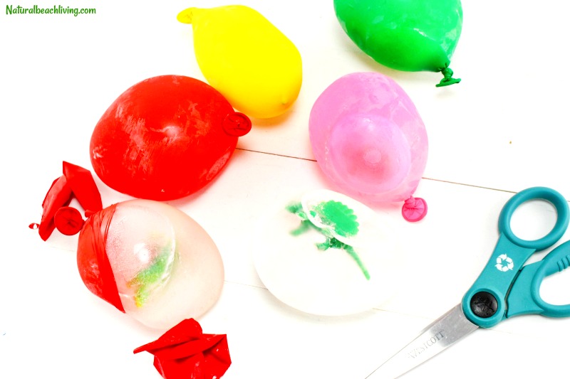 How to Make Frozen Dinosaur Eggs Kids Love, Excavating Dinosaurs, Dinosaur Activity, Dinosaur Theme, Dinosaur Science, Frozen Sensory Play, Summer ideas, Water Play for Kids, Dinosaur theme activities, Summer Science Ideas, frozen dinosaur egg hatches, dinosaur ice eggs, frozen dinosaurs, ice excavation activity, how to make dinosaur eggs #science #dinosaur #frozeneggs #dinosaureggs #dinosaurtheme #preschool #summer #sensoryplay #summeractivities #kidsactivities How to Make Frozen Dinosaur Eggs Kids Love, Excavating Dinosaurs, Dinosaur Activity, Dinosaur Theme, Dinosaur Science, Frozen Sensory Play, Summer ideas