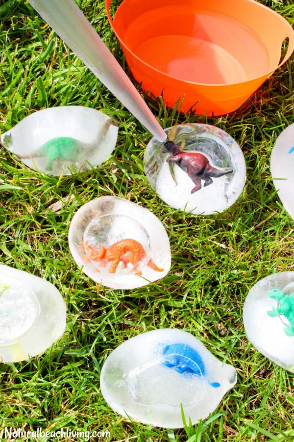 How to Make Frozen Dinosaur Eggs Kids Love - Natural Beach Living