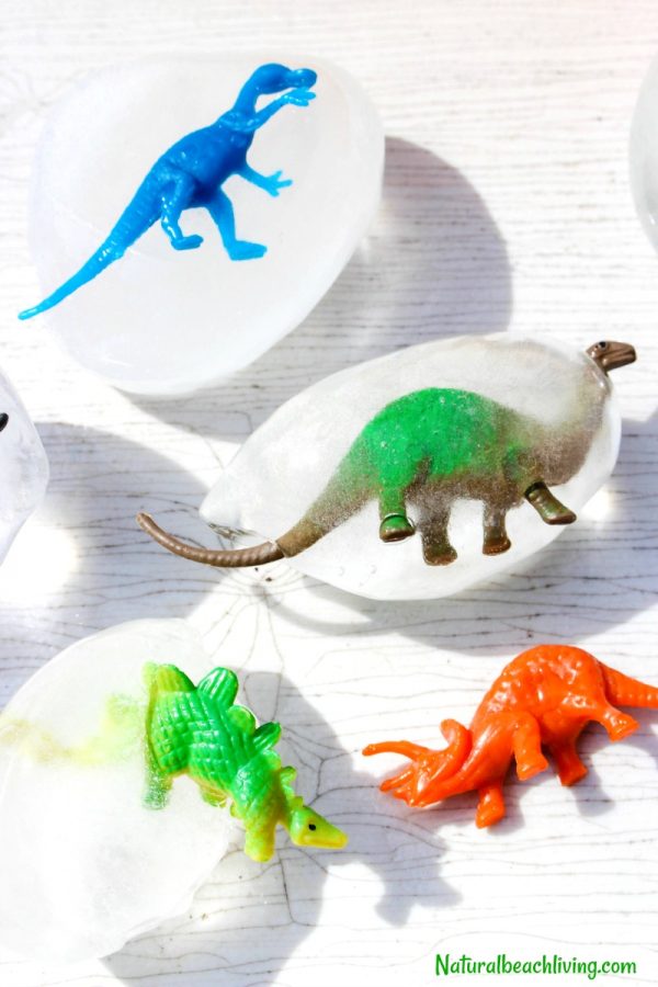 How to Make Frozen Dinosaur Eggs Kids Love - Natural Beach Living