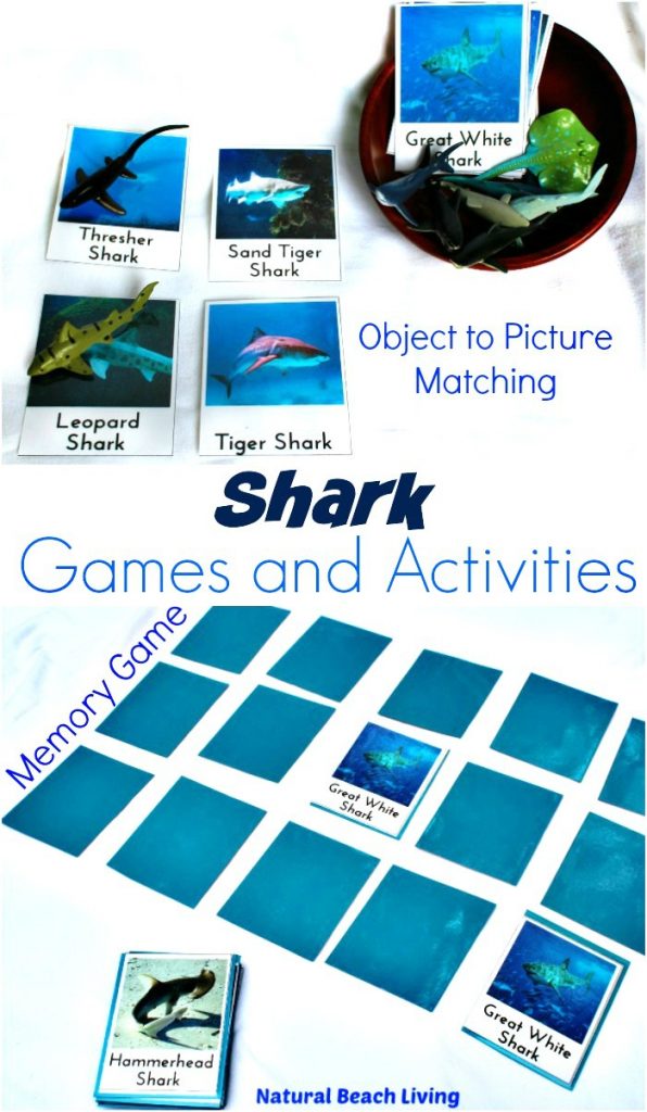 Shark I Spy Game - Simple Fun for Kids
