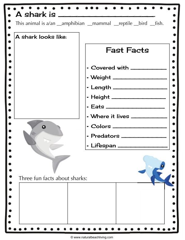 The Best Shark Printable Activities for Kids, Get ready for Shark Week with a Shark Unit Study and Shark Lesson Plans. These Shark Week Ideas have Alphabet Activities, Shark Facts, shark anatomy, food chain activities, and shark games. Plus, Shark science for kids, Shark printables and Writing Prompts for kids