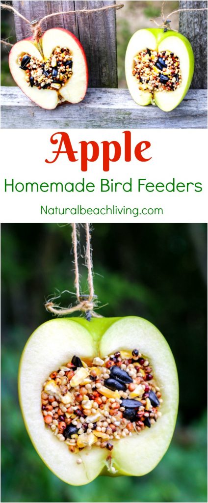 How to Make an Apple Bird Feeder 