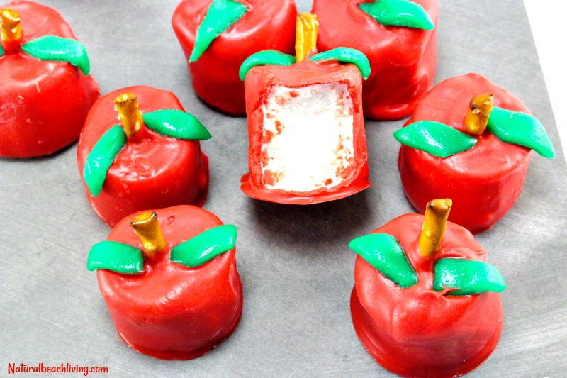 Apple Marshmallows, Kids love this delicious chocolate covered marshmallow snack. Apple Marshmallow for a fun fall treat or Back to School Snack, School Party snack, Delicious Chocolate Marshmallow Recipe, Try these for an Apple Theme