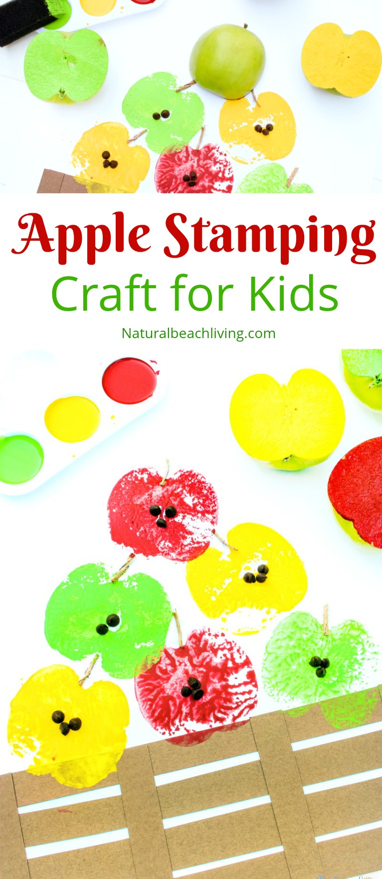 How to Make The Most Adorable Apple Stamping Craft with Kids, Apple Stamping, Apple Activities, Apple Crafts, Apple theme for preschoolers, Fall Crafts, Art