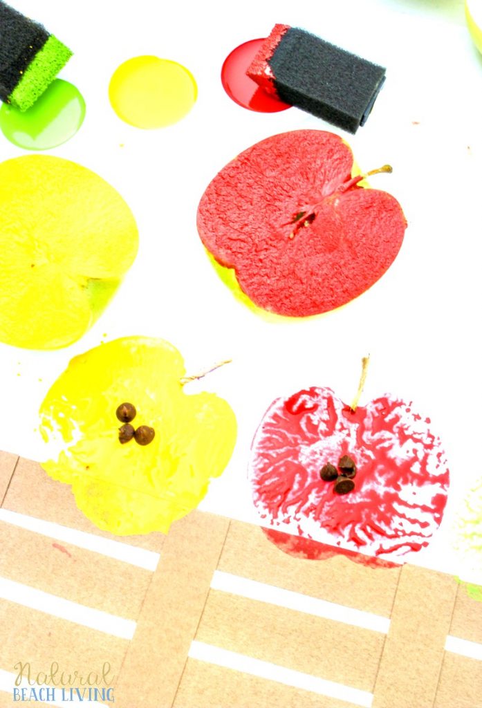 Apple Stamping Craft for Kids - Apple Crafts for Preschool - Natural ...