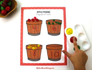 Kindergarten and Preschool Apple Theme Activities and Lesson Plans ...