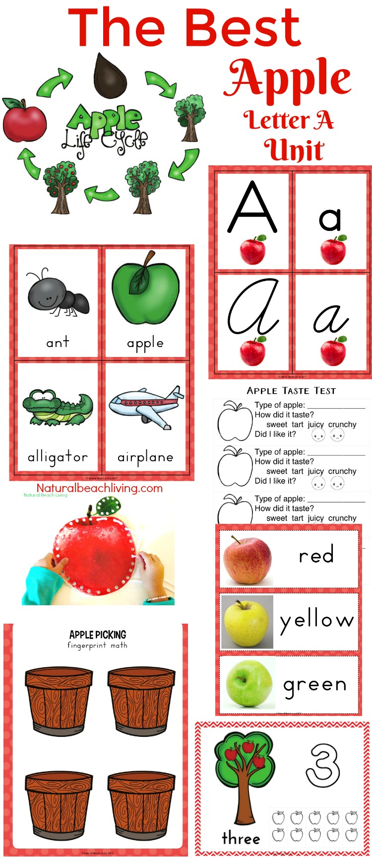 Preschool Apple Theme Activities and Lesson Plans, Fall Preschool Themes, Apple Stamping and Apple Activities for preschool and Kindergarten, Apple Crafts, Apple Science, literacy, math, and Apple Slime and Apple Playdough sensory play ideas that are fun and educational. Apple Worksheets, Apple Stamping and more.