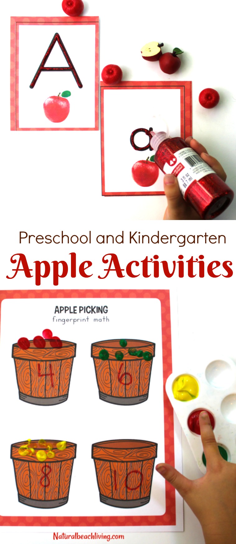 The Best Kindergarten and Preschool Apple Theme Activities