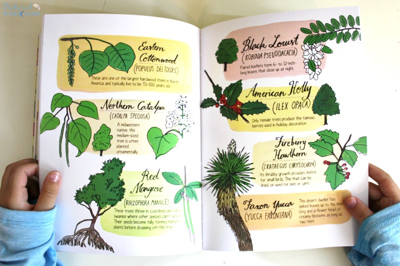 Nature Anatomy Book, 