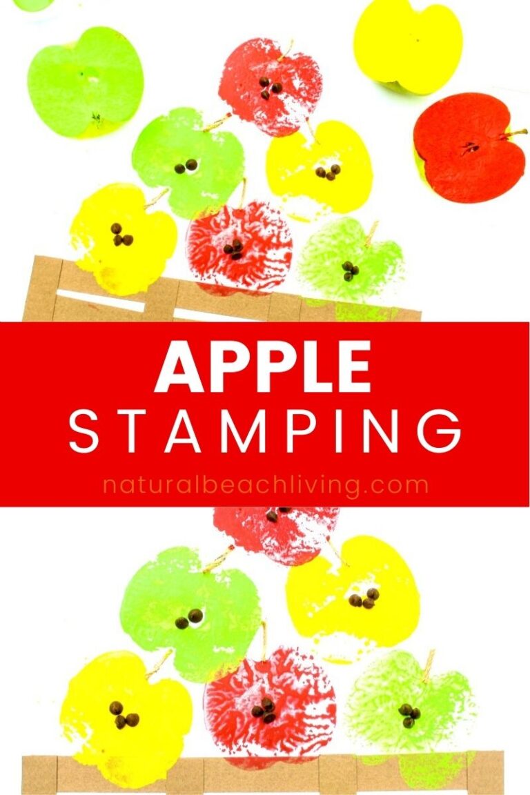 Apple Stamping Craft for Kids - Apple Crafts for Preschool - Natural ...