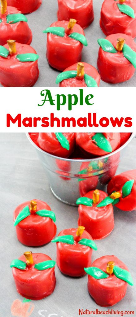Delicious apple-shaped chocolate covered marshmallows! A fun fall treat perfect for back to school snacks, school parties, or apple theme events. Try this easy recipe!
